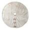 Glitzhome® 60" Milk Coffee Reversible Faux Rabbit Fur/Korean Fleece Christmas Tree Skirt